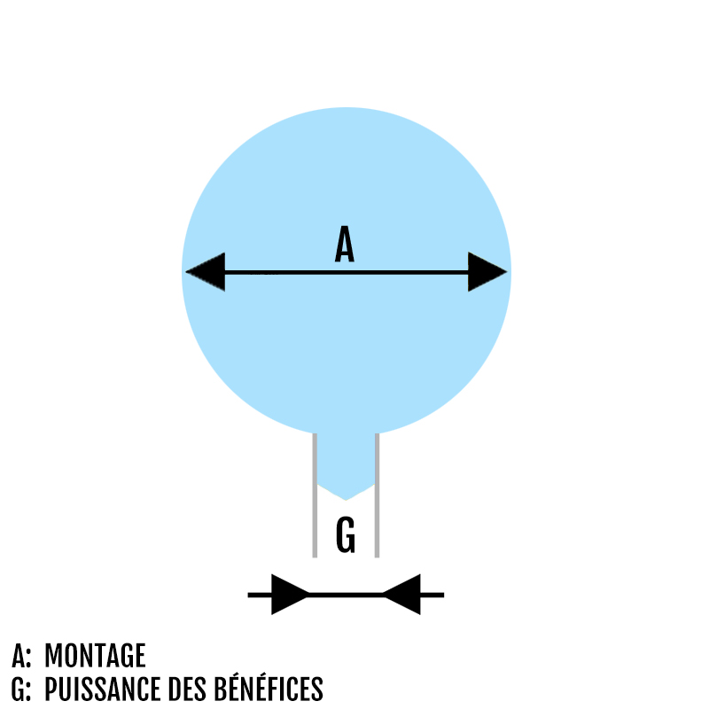 Piercing Dermal Embout