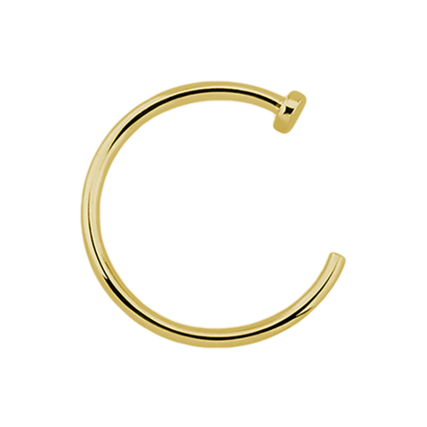 Open gold-plated nose ring