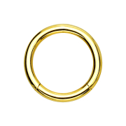 Gold-plated segment ring with titanium layer