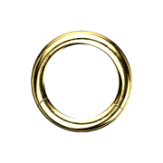 Gold-plated segment ring with titanium layer