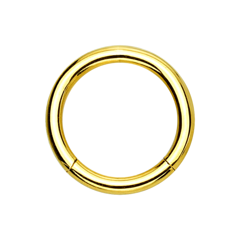 Segment ring hinged gold-plated