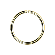 Micro Piercing Ring 18k vergoldet