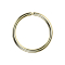 Micro Piercing Ring 18k vergoldet