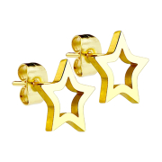 Gold-plated stud earrings with star