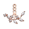 Earring Ear Jacket rose gold Vine with crystals left