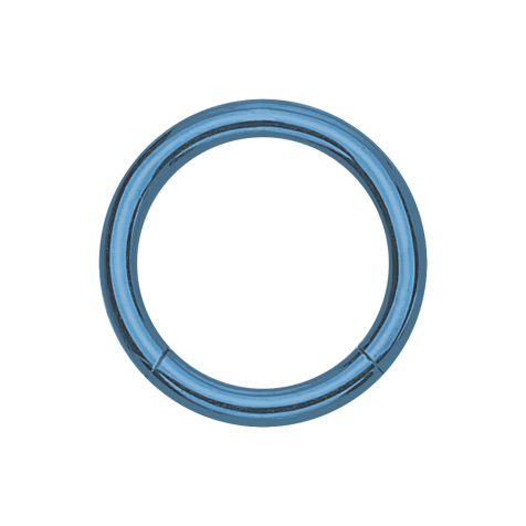 Segment ring light blue