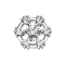 Dermal Anchor argent hexagonal avec cristal