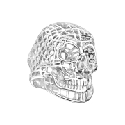 Ring silver skull net