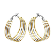 Earring five rings gold-plated and silver