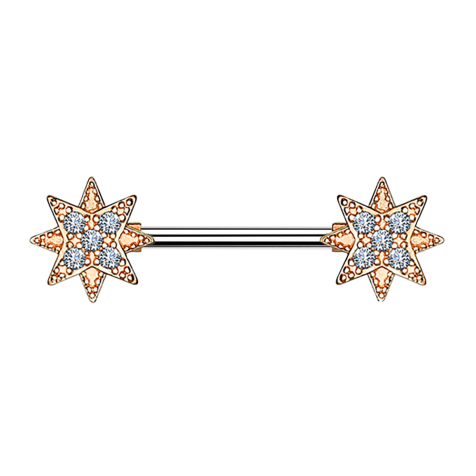 Barbell plaqué or 14k étoile avec cristal