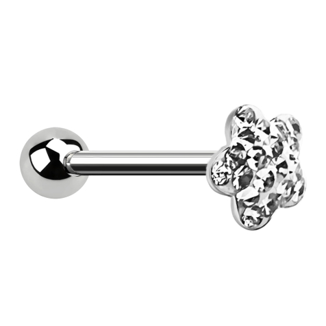 Barbell silver con sfera e fiore del disco rivestimento protettivo epossidico silver