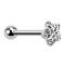 Barbell silver con sfera e fiore del disco rivestimento protettivo epossidico silver
