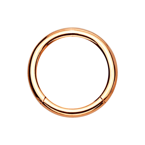 Micro segment ring hinged rose gold