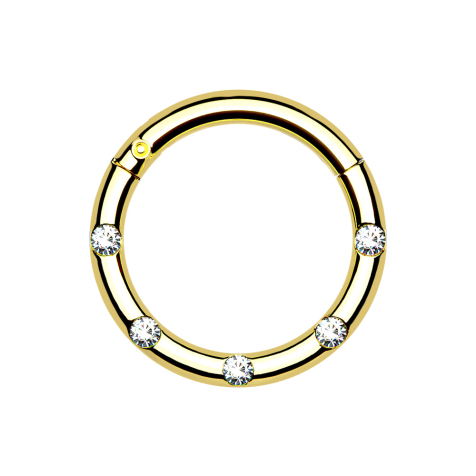 Anello a micro segmenti con cerniera frontale placcata oro cinque cristalli argento