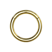 Segment ring hinged 14k gold