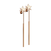 Stud earrings rose gold star pendant chain with bar