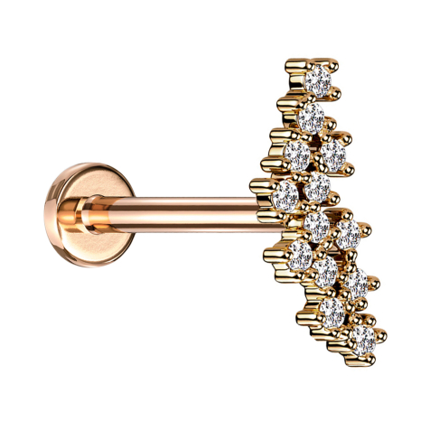 Micro labret internal thread rose gold group with crystals silver