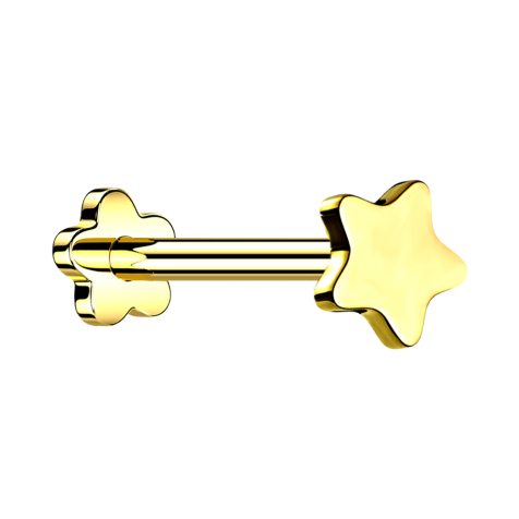Micro Threadless Labret Flower Gold-Plated Star
