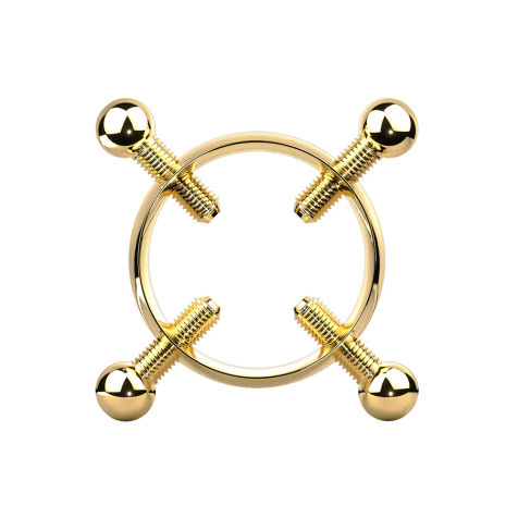 Fake Brustwarze vergoldet Nippelklemme mit vier Schrauben