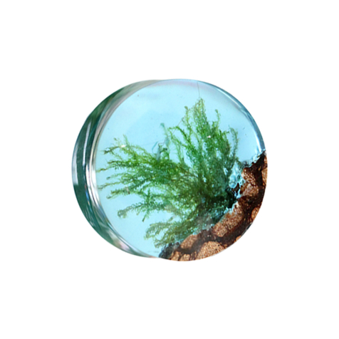 Flared Plug Wasserfeder Epoxy blau aus Liana Holz