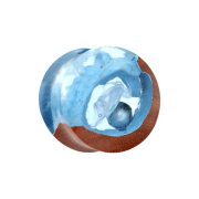 Flared Plug Perle in H&ouml;hle Epoxy blau aus Saba Holz