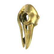 Ear weight keyhole gold-plated crows skull