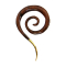 Poids doreille goutte en spirale avec pointe dorée en bois de Narra