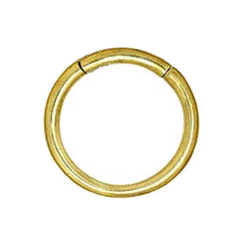 Ohrgewicht Segmentring klappbar vergoldet