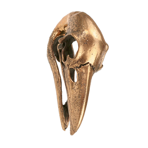 Ear weight keyhole rose gold crows skull