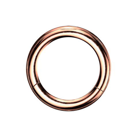 Anneau segment pliable or rose