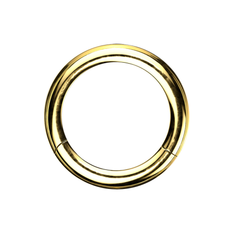Anello a segmenti con cerniera placcato oro