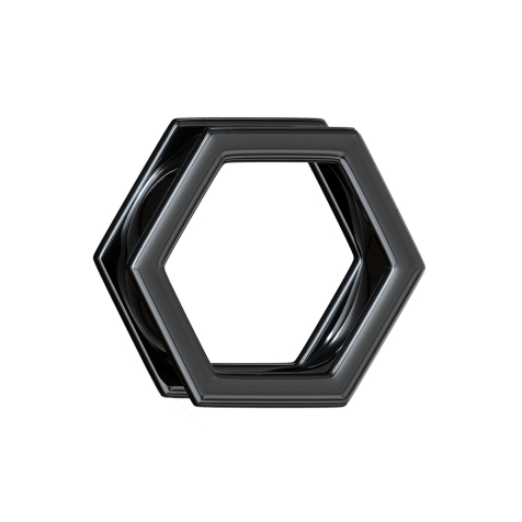 Flesh Tunnel noir hexagonal