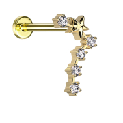 Micro labret inner thread gold-plated zodiac sign Pisces...