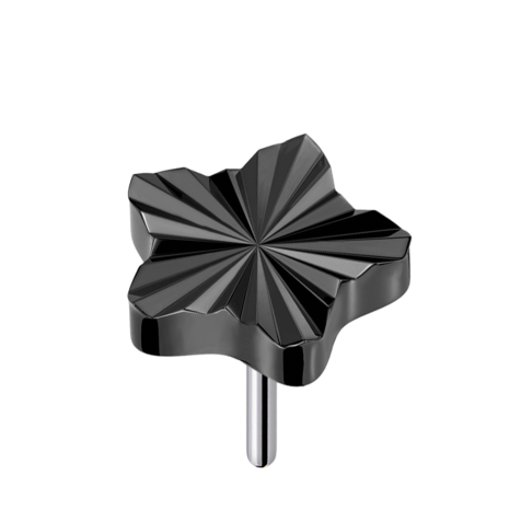 Disque diamanté sans filetage étoile noir