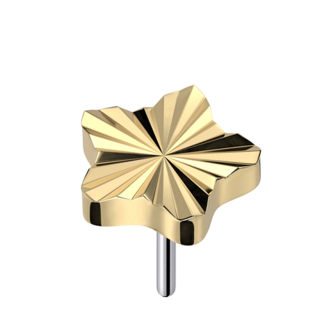 Disque diamanté sans filetage étoile plaqué or