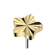 Disque diamanté sans filetage étoile...