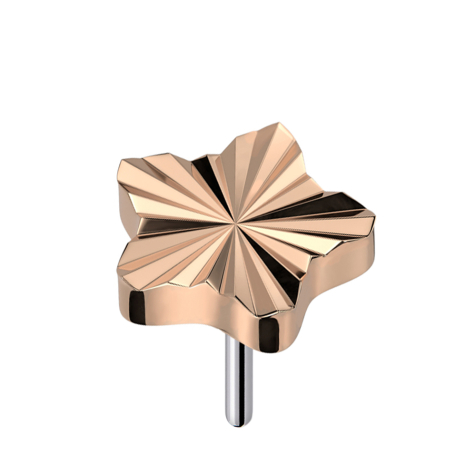 Disque diamanté sans filetage Étoile or rose