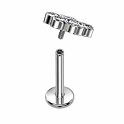 Micro Labret, Internal Thread, Silver, Fan-Shaped, Silver, with Five Silver Crystals