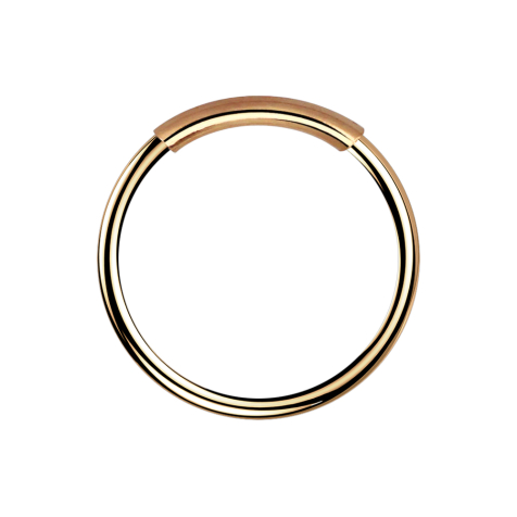 Nasenring endlos rosegold