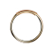 Nasenring endlos rosegold