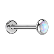 Micro Labret filettatura interna argento disco...