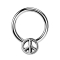Closure Ring silber Peace silber