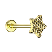 Micro Labret filettatura interna placcato oro diamante...