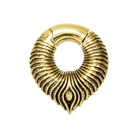 Peso dellorecchio segmento ad anello incernierato Armato