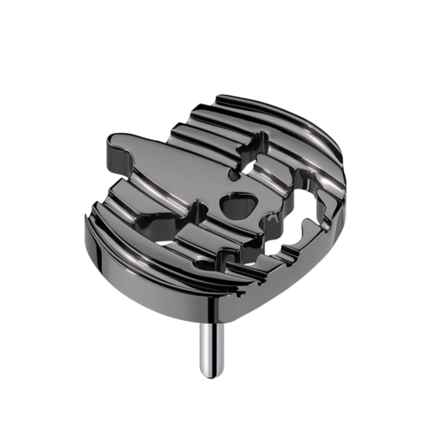 Citrouille dHalloween sans filetage, noire