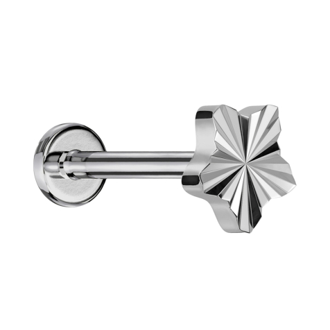 Micro Labret Innengewinde silber Diamantschliff Scheibe Stern silber