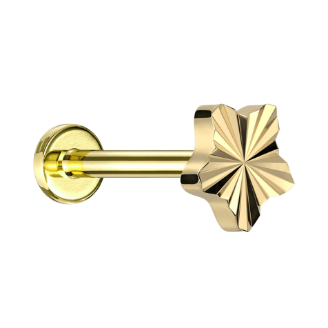 Micro labret filetage intérieur plaqué or Disque taille diamant étoile plaquée or