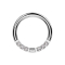Micro segment ring hinged silver front five crystals silver