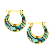 Gold-plated basic earring with abalone