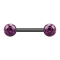 Barbell noir avec deux boules de cristal violet époxy de protection